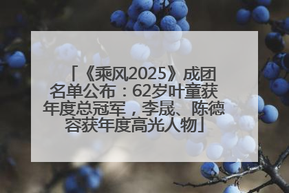《乘风2025》成团名单公布：62岁叶童获年度总冠军，李晟、陈德容获年度高光人物
