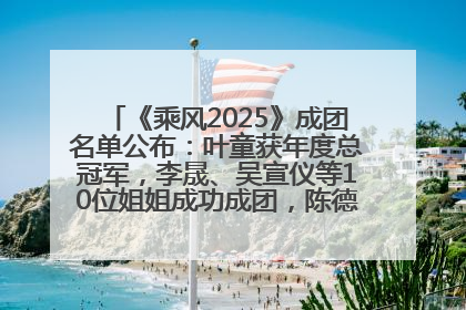 《乘风2025》成团名单公布：叶童获年度总冠军，李晟、吴宣仪等10位姐姐成功成团，陈德容获年度高光人物