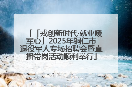 「戎创新时代·就业暖军心」2025年铜仁市退役军人专场招聘会暨直播带岗活动顺利举行