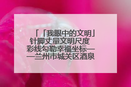 「我眼中的文明」针脚丈量文明尺度 彩线勾勒幸福坐标——兰州市城关区酒泉路街道办事处