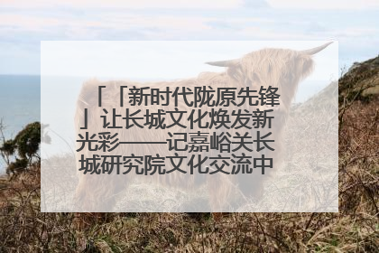 「新时代陇原先锋」让长城文化焕发新光彩——记嘉峪关长城研究院文化交流中心干部张晓燕