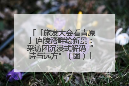 「旅发大会看青原」庐陵湾畔绘新景：采访团沉浸式解码“诗与远方”（图）