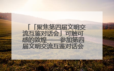 「聚焦第四届文明交流互鉴对话会」可触可感的敦煌——参加第四届文明交流互鉴对话会的外宾参观上元市集