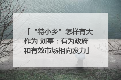 “特小乡”怎样有大作为 刘亭：有为政府和有效市场相向发力