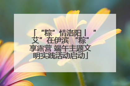 “粽”情洛阳丨“艾”在伊滨 “粽”享露营 端午主题文明实践活动启动