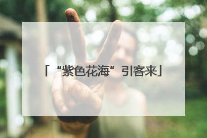 “紫色花海”引客来