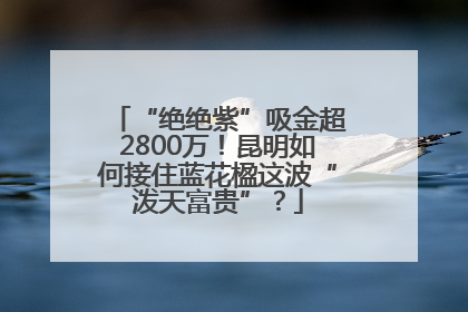“绝绝紫”吸金超2800万！昆明如何接住蓝花楹这波“泼天富贵”？