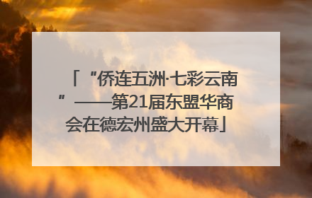 “侨连五洲·七彩云南”——第21届东盟华商会在德宏州盛大开幕