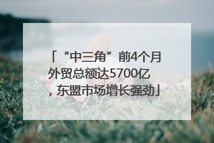 “中三角”前4个月外贸总额达5700亿，东盟市场增长强劲
