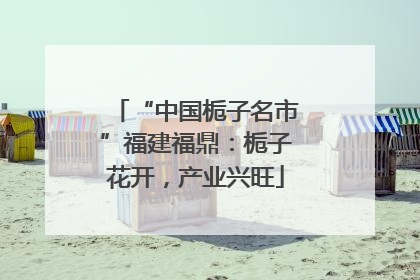 “中国栀子名市”福建福鼎：栀子花开，产业兴旺