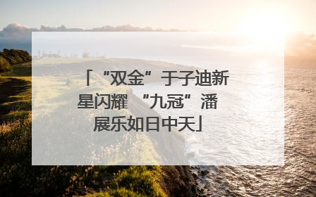 “双金”于子迪新星闪耀 “九冠”潘展乐如日中天