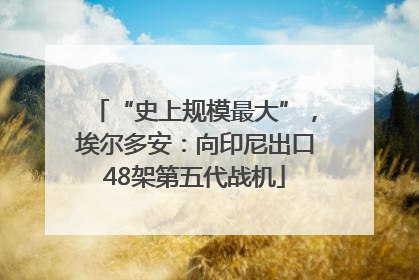 “史上规模最大”，埃尔多安：向印尼出口48架第五代战机