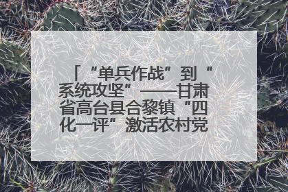 “单兵作战”到“系统攻坚”——甘肃省高台县合黎镇“四化一评”激活农村党员管理新引擎