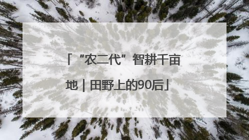 “农二代”智耕千亩地｜田野上的90后