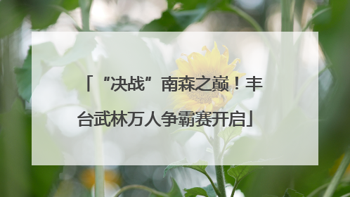 “决战”南森之巅！丰台武林万人争霸赛开启