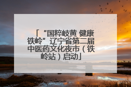 “国粹岐黄 健康铁岭”辽宁省第二届中医药文化夜市（铁岭站）启动
