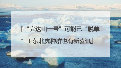 “完达山一号”可能已“脱单”！东北虎种群也有新喜讯