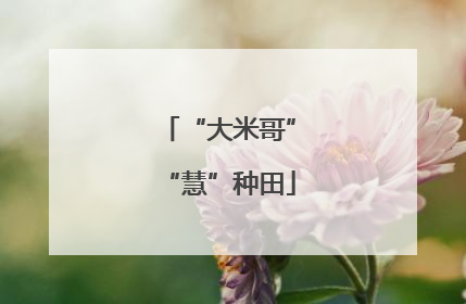 “大米哥”“慧”种田