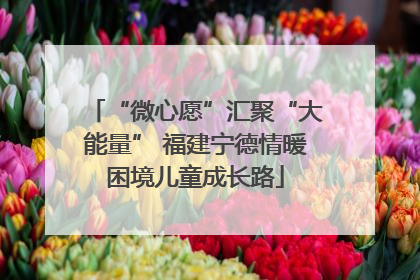 “微心愿”汇聚“大能量” 福建宁德情暖困境儿童成长路