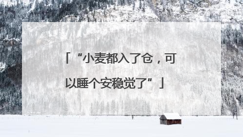 “小麦都入了仓，可以睡个安稳觉了”