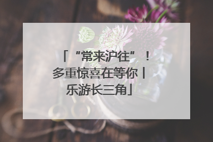 “常来沪往”！多重惊喜在等你丨乐游长三角