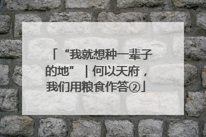 “我就想种一辈子的地”｜何以天府，我们用粮食作答②