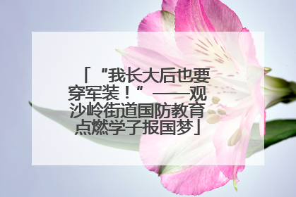 “我长大后也要穿军装！”——观沙岭街道国防教育点燃学子报国梦