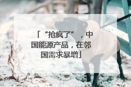 “抢疯了”，中国能源产品，在邻国需求暴增