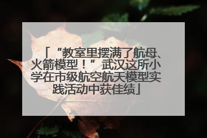 “教室里摆满了航母、火箭模型！”武汉这所小学在市级航空航天模型实践活动中获佳绩