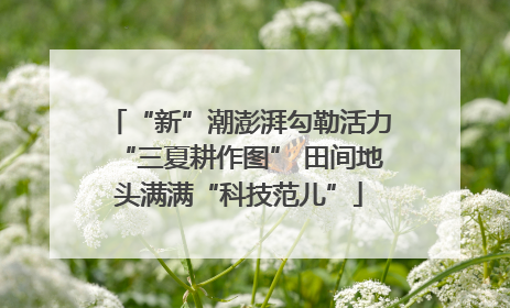 “新”潮澎湃勾勒活力“三夏耕作图” 田间地头满满“科技范儿”