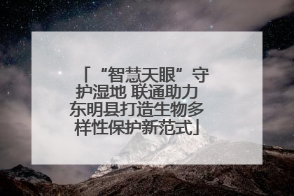“智慧天眼”守护湿地 联通助力东明县打造生物多样性保护新范式