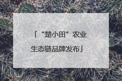 “楚小田”农业生态链品牌发布