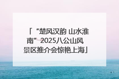 “楚风汉韵 山水淮南”2025八公山风景区推介会惊艳上海