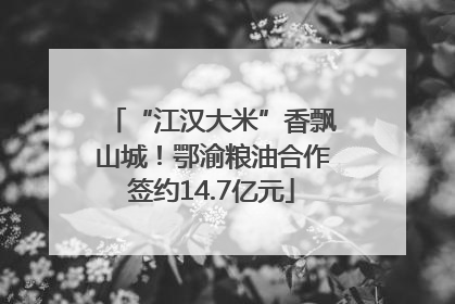 “江汉大米”香飘山城！鄂渝粮油合作签约14.7亿元