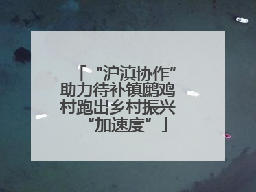 “沪滇协作”助力待补镇鹧鸡村跑出乡村振兴“加速度”