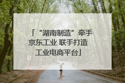 “湖南制造”牵手京东工业 联手打造工业电商平台