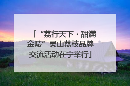 “荔行天下・甜满金陵”灵山荔枝品牌交流活动在宁举行