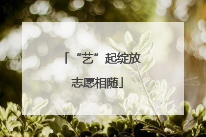 “艺”起绽放 志愿相随
