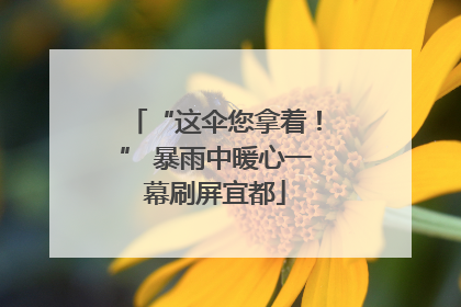 “这伞您拿着！” 暴雨中暖心一幕刷屏宜都