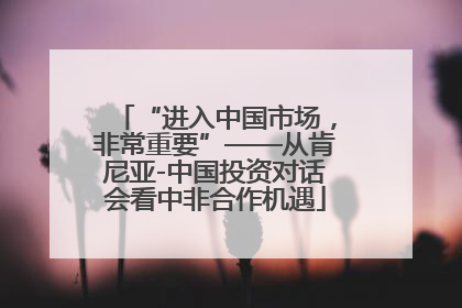 “进入中国市场，非常重要”——从肯尼亚-中国投资对话会看中非合作机遇