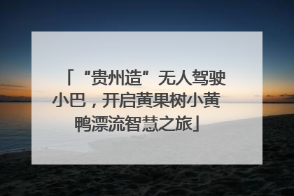 “贵州造”无人驾驶小巴，开启黄果树小黄鸭漂流智慧之旅