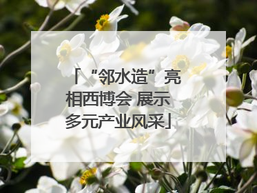 “邻水造”亮相西博会 展示多元产业风采