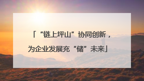 “链上坪山”协同创新，为企业发展充“储”未来