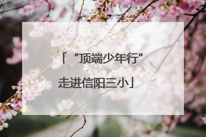 “顶端少年行”走进信阳三小