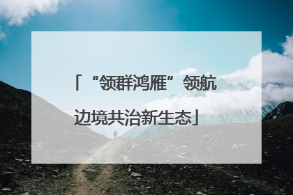 “领群鸿雁”领航边境共治新生态