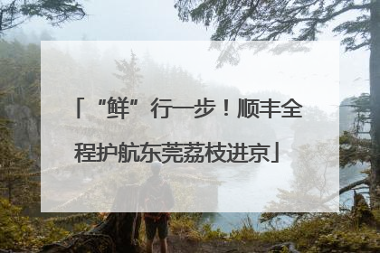 “鲜”行一步！顺丰全程护航东莞荔枝进京