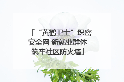 “黄鹤卫士”织密安全网 新就业群体筑牢社区防火墙