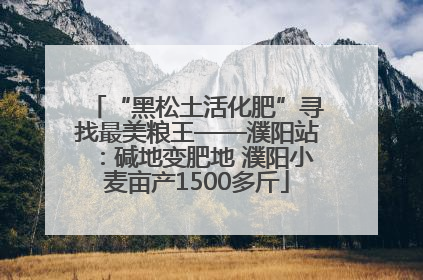 “黑松土活化肥”寻找最美粮王——濮阳站：碱地变肥地 濮阳小麦亩产1500多斤