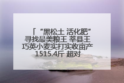 “黑松土 活化肥”寻找最美粮王 莘县王巧英小麦实打实收亩产1515.4斤 超对照田144斤！