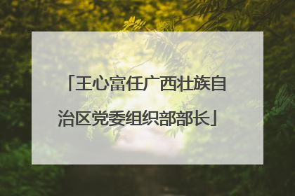 王心富任广西壮族自治区党委组织部部长
